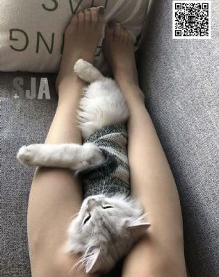 四虎国产精品永久免费网址_在线观看免费版