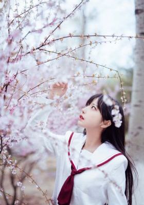 穿越成太监妻(女攻)免费阅读_4K高清在线观看